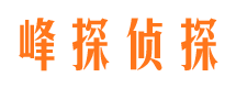 晴隆市场调查